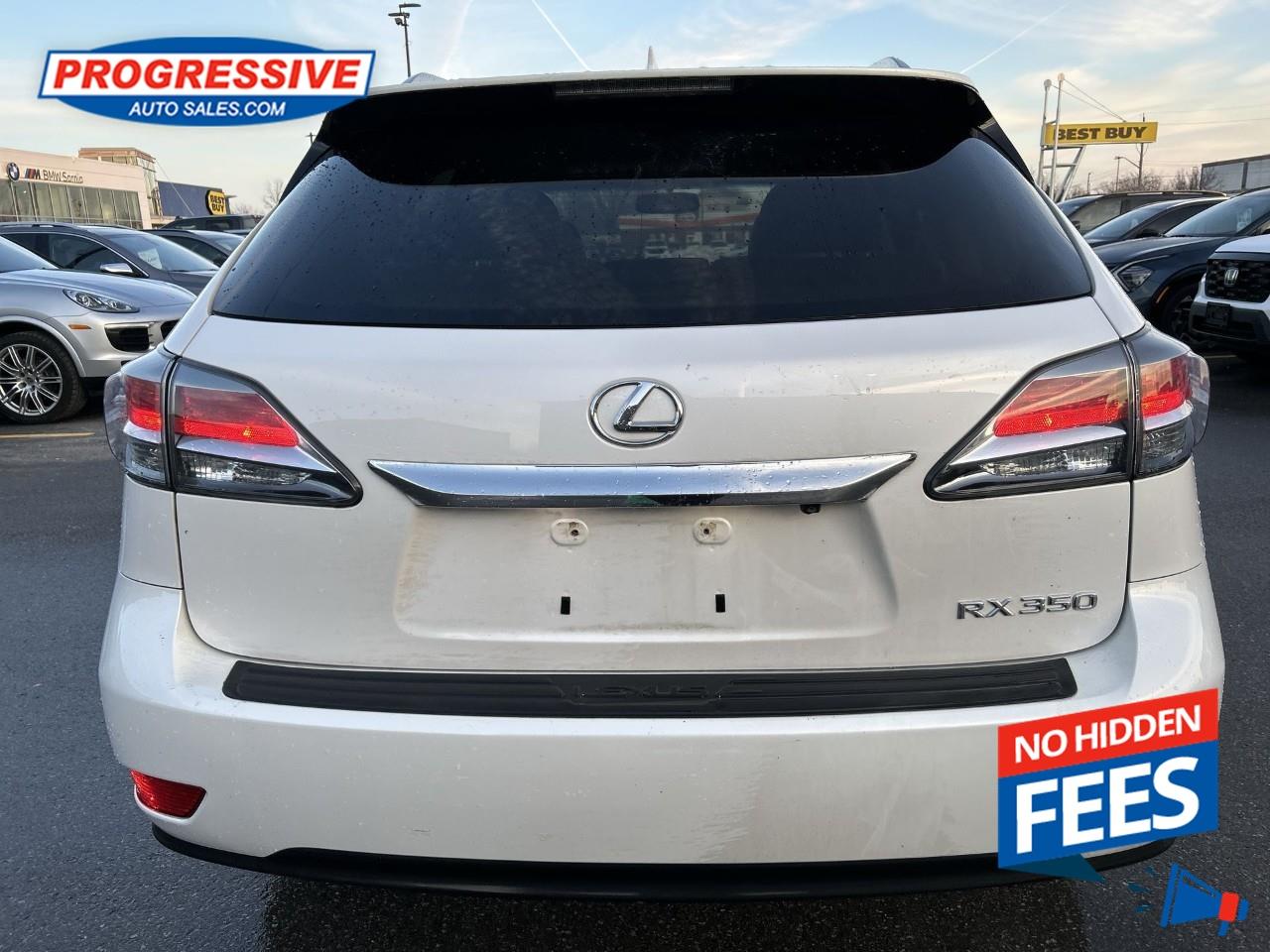 2015 Lexus RX 350 Sportdesign Photo