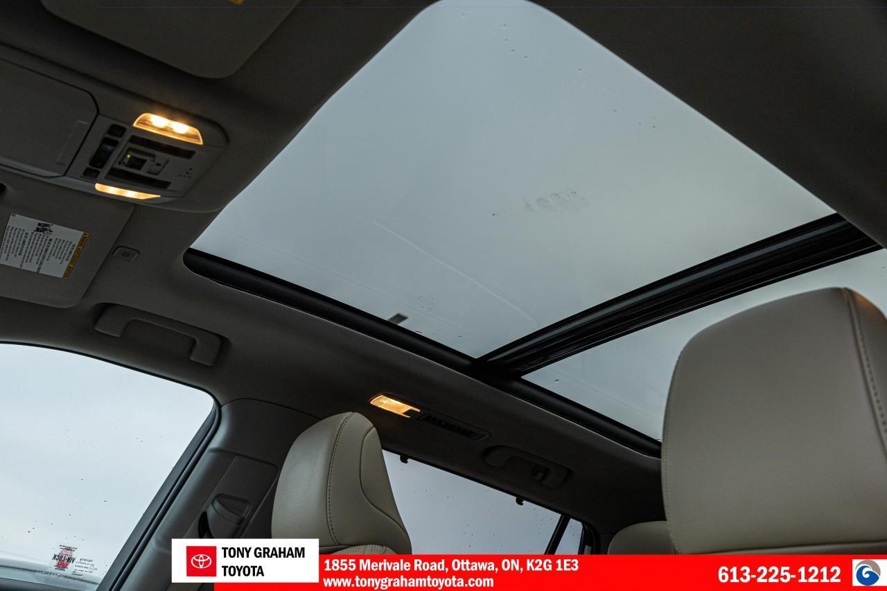 2023 Toyota Highlander LIMITED  Photo