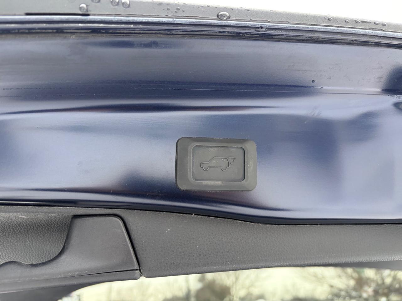 2024 Toyota RAV4 XLE Photo