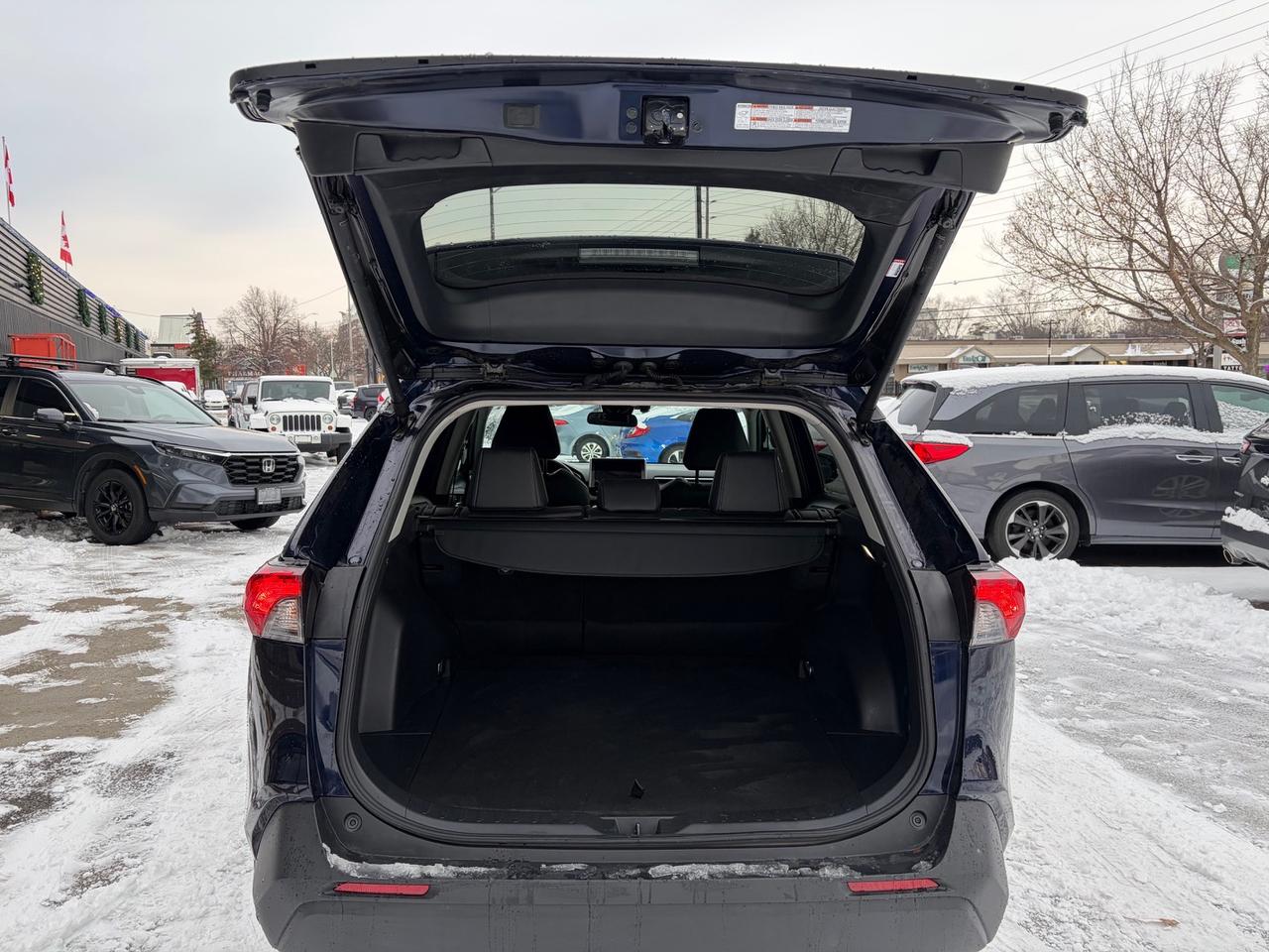 2024 Toyota RAV4 XLE Photo