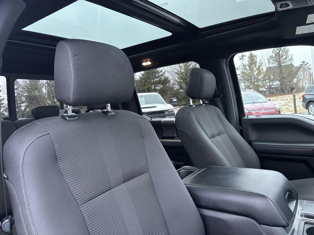 2016 Ford F-150 XLT Photo