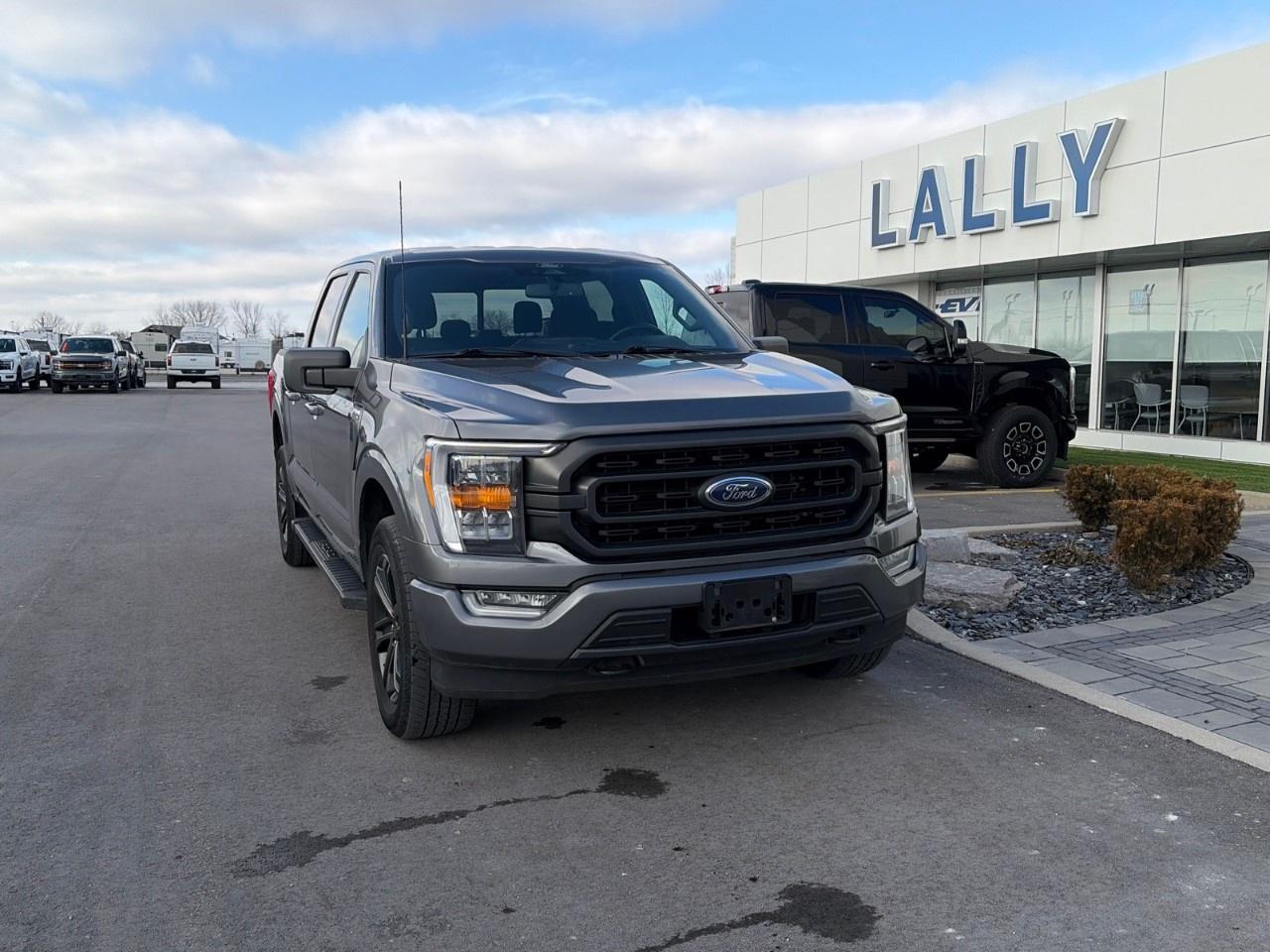 2022 Ford F-150 XLT 4WD SuperCrew 5.5' Box Photo0