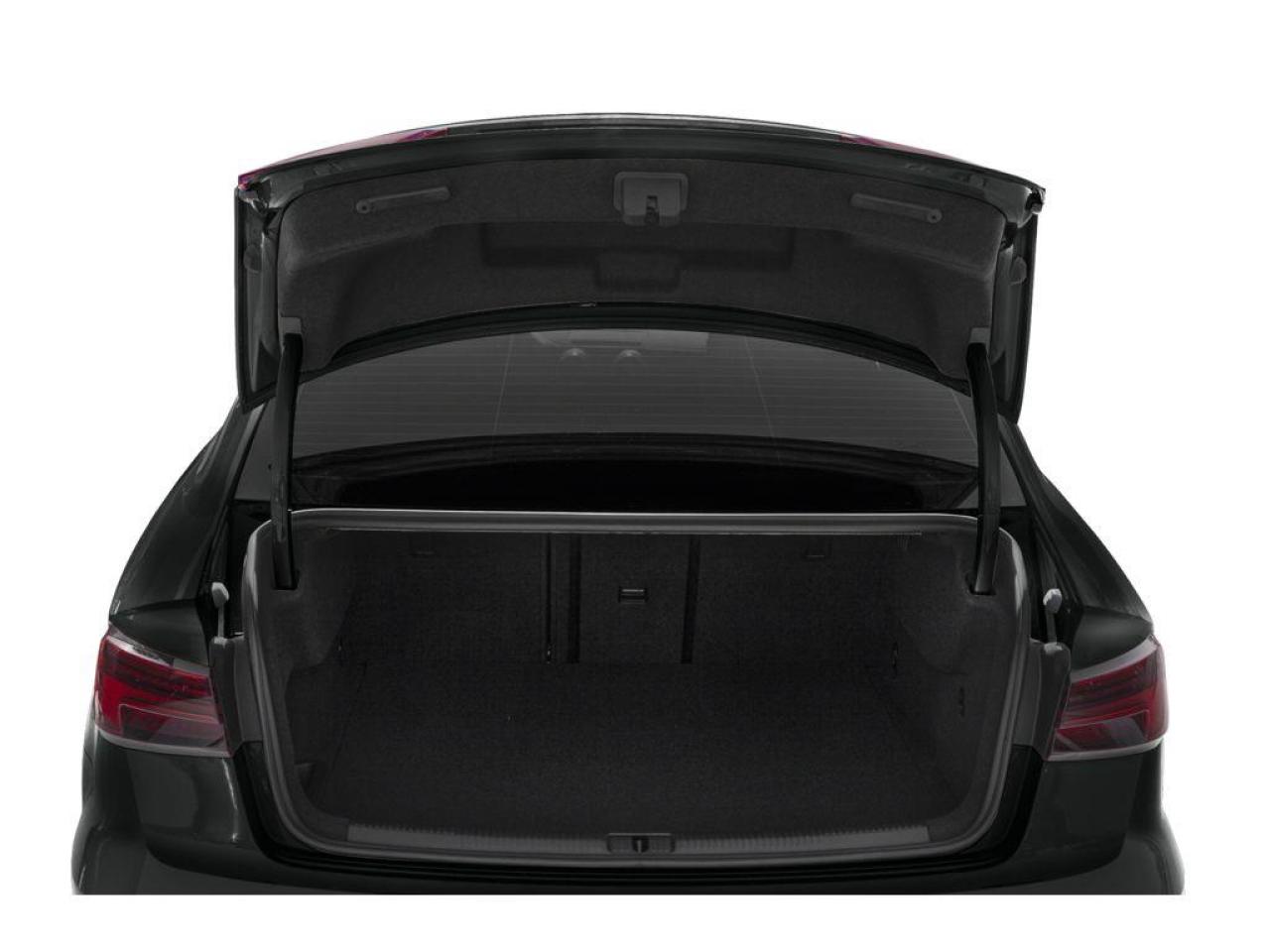 2020 Audi S3 2.0T Progressiv Quattro Photo