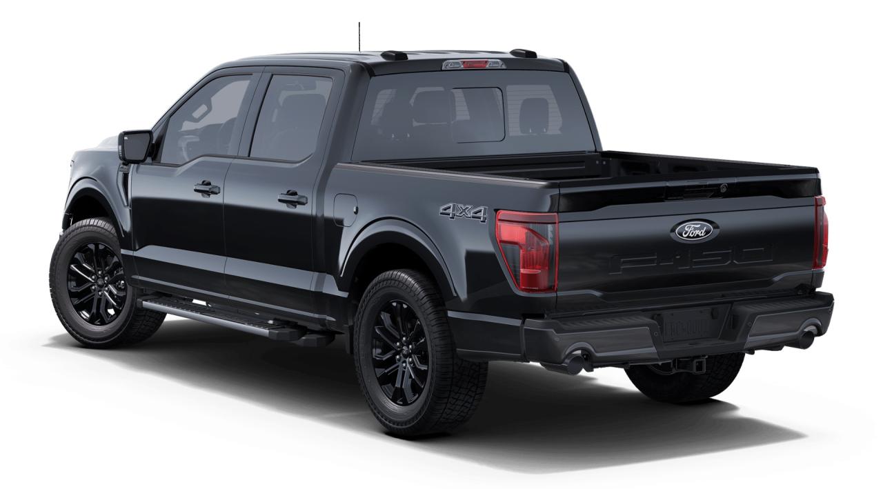 2025 Ford F-150 XLT 4WD SuperCrew 5.5' Box 303A Photo