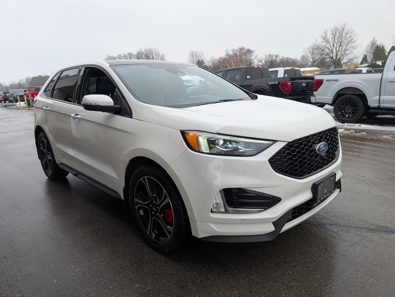 2021 Ford Edge ST Photo
