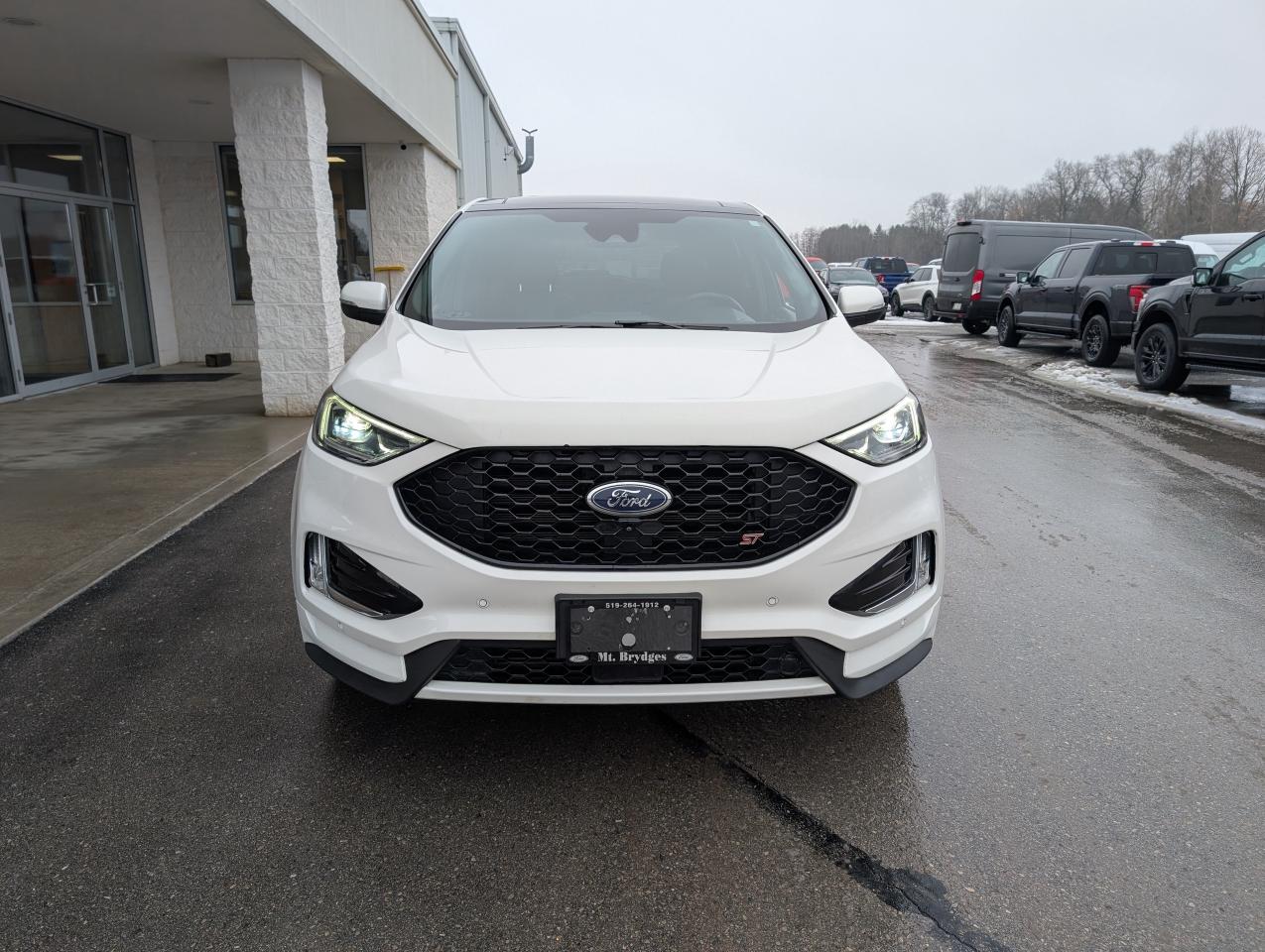 2021 Ford Edge ST Photo