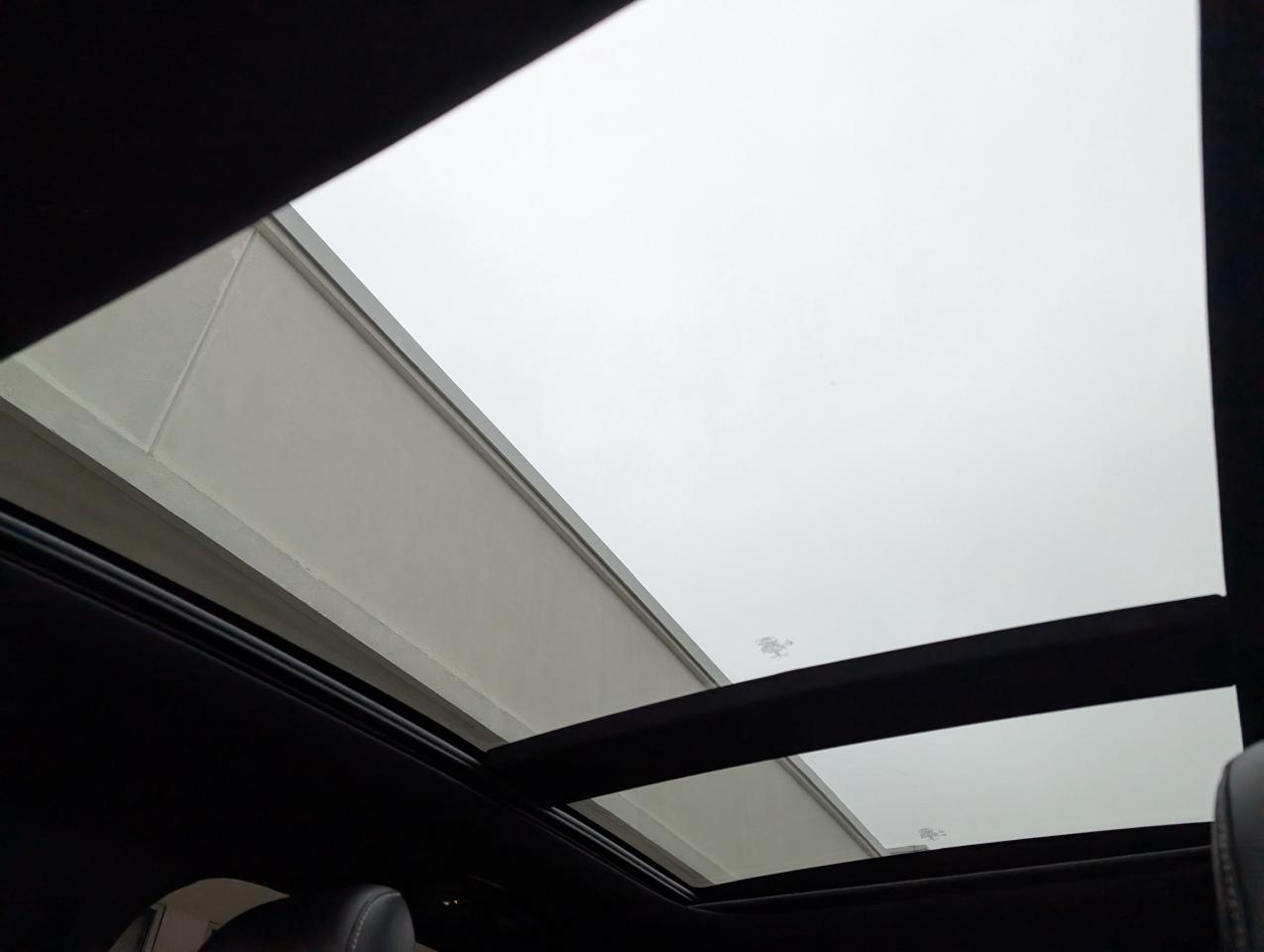 2021 Ford Edge ST Photo