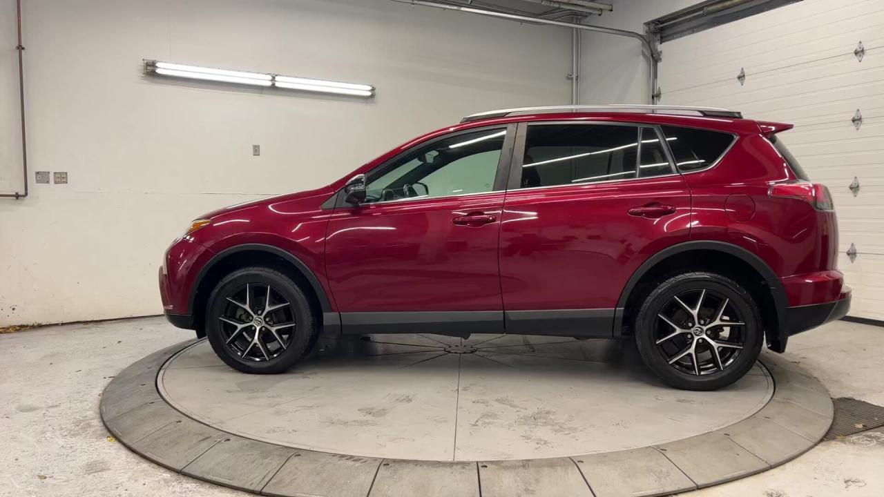 2018 Toyota RAV4  Photo