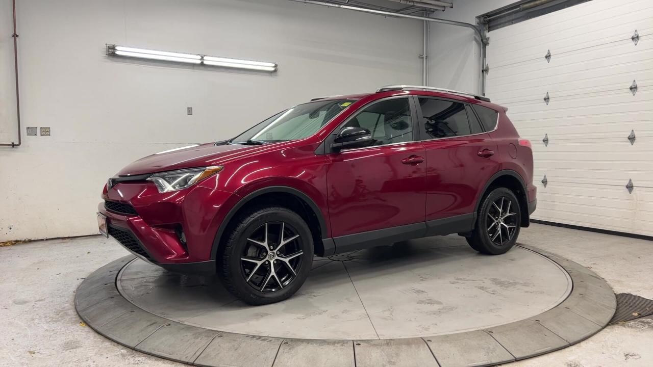 2018 Toyota RAV4  Photo3