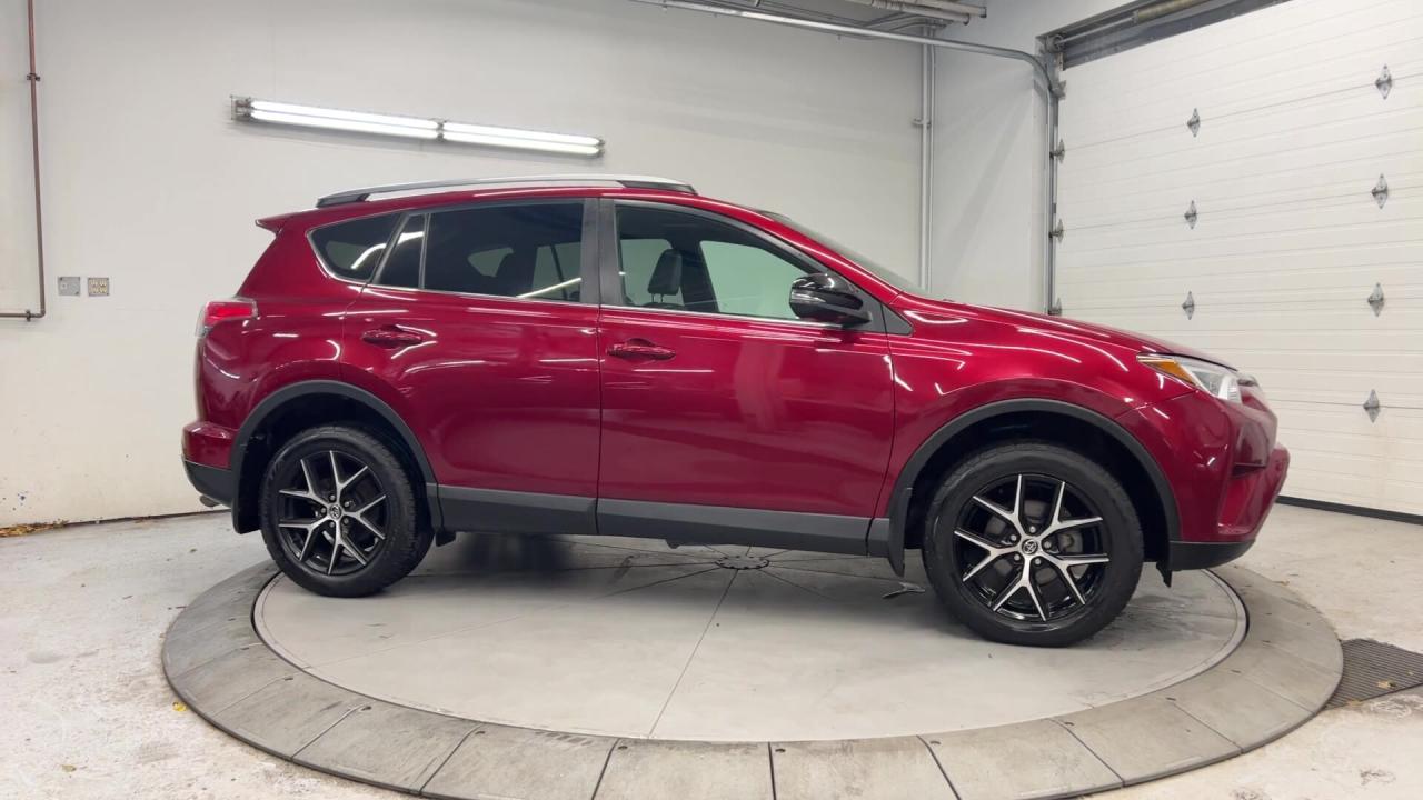 2018 Toyota RAV4  Photo