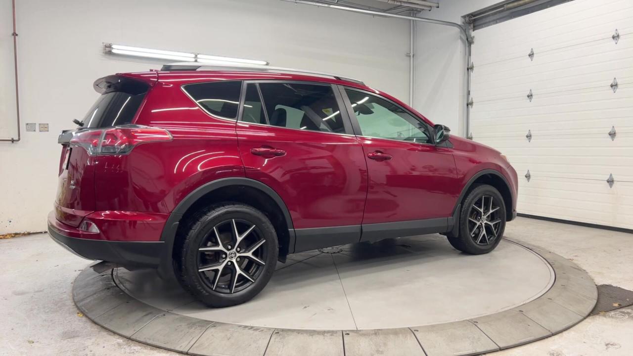 2018 Toyota RAV4  Photo