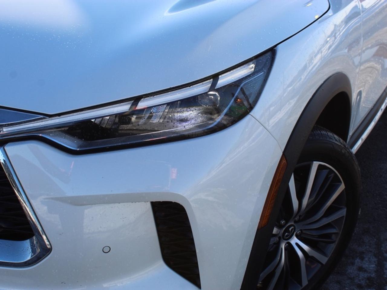 2024 Infiniti QX60 Sensory  - Massage, Heated/Cooled Seats - Warranty to 2027 Photo