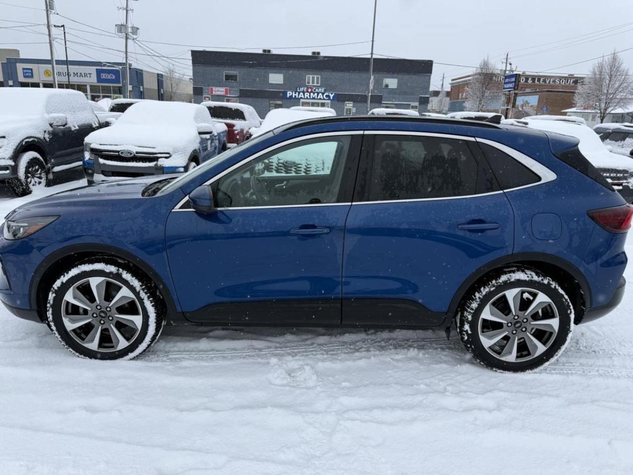 2023 Ford Escape Platinum Photo