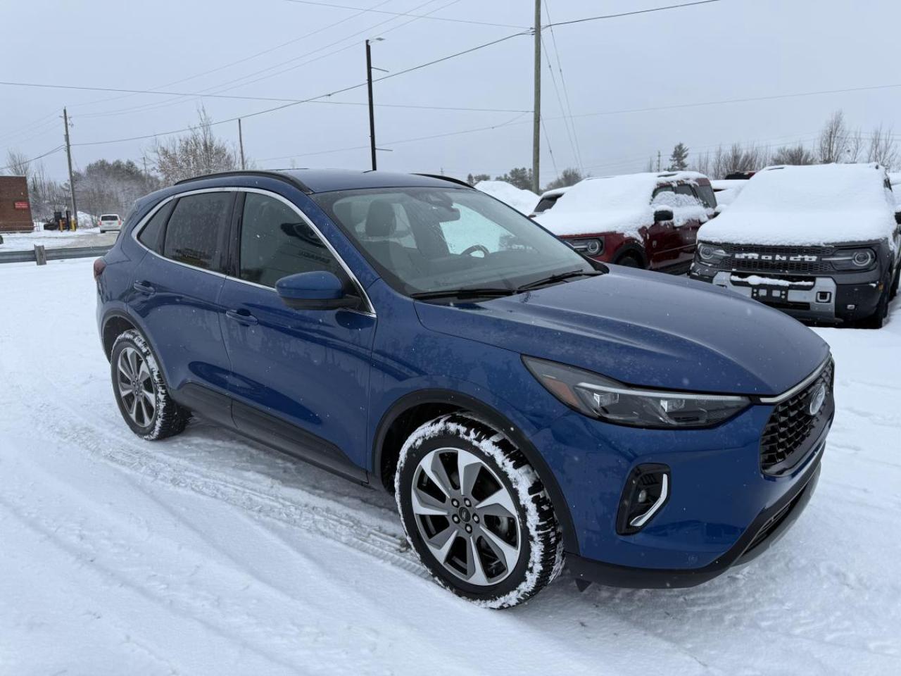 2023 Ford Escape Platinum Photo