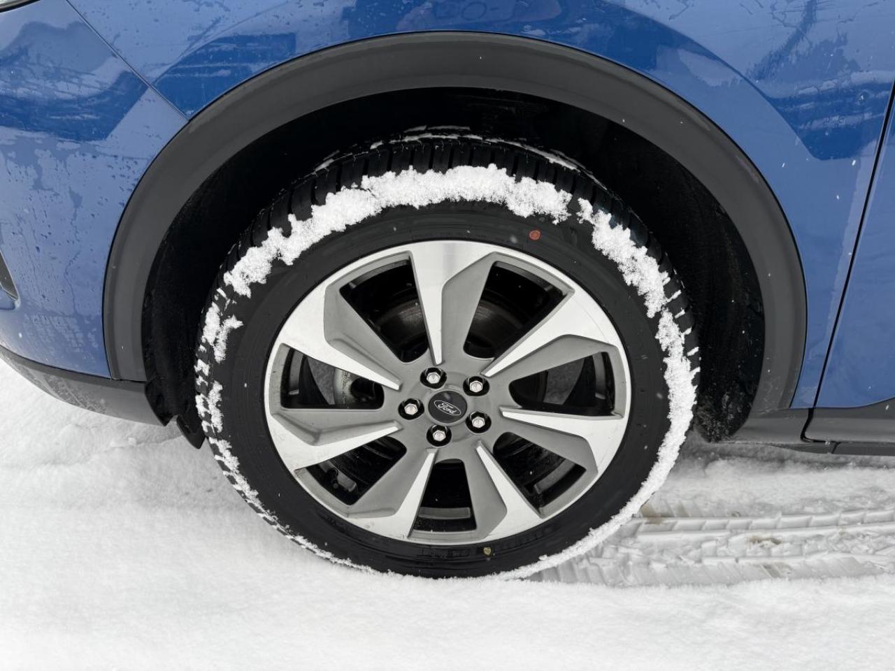 2023 Ford Escape Platinum Photo