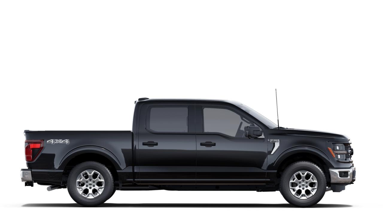 2025 Ford F-150 XLT Photo4
