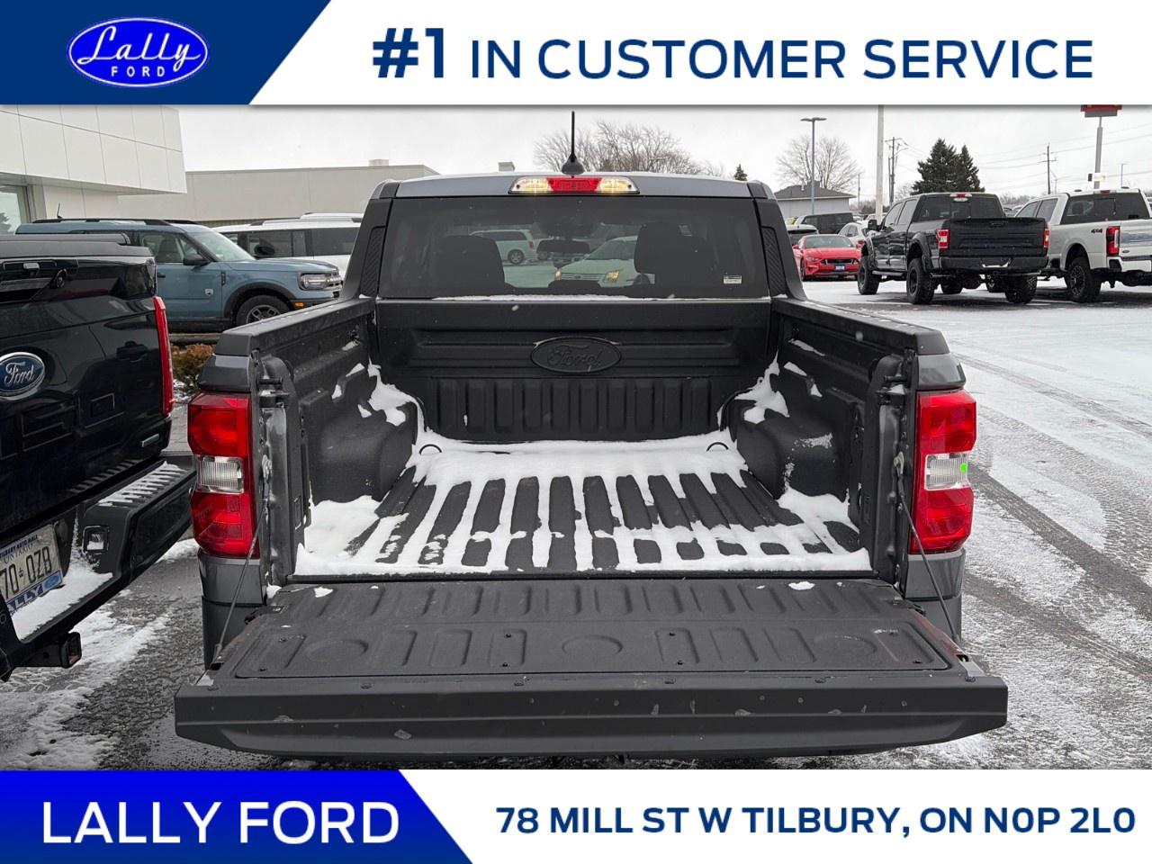 2026 Ford Maverick XLT AWD SuperCrew Photo