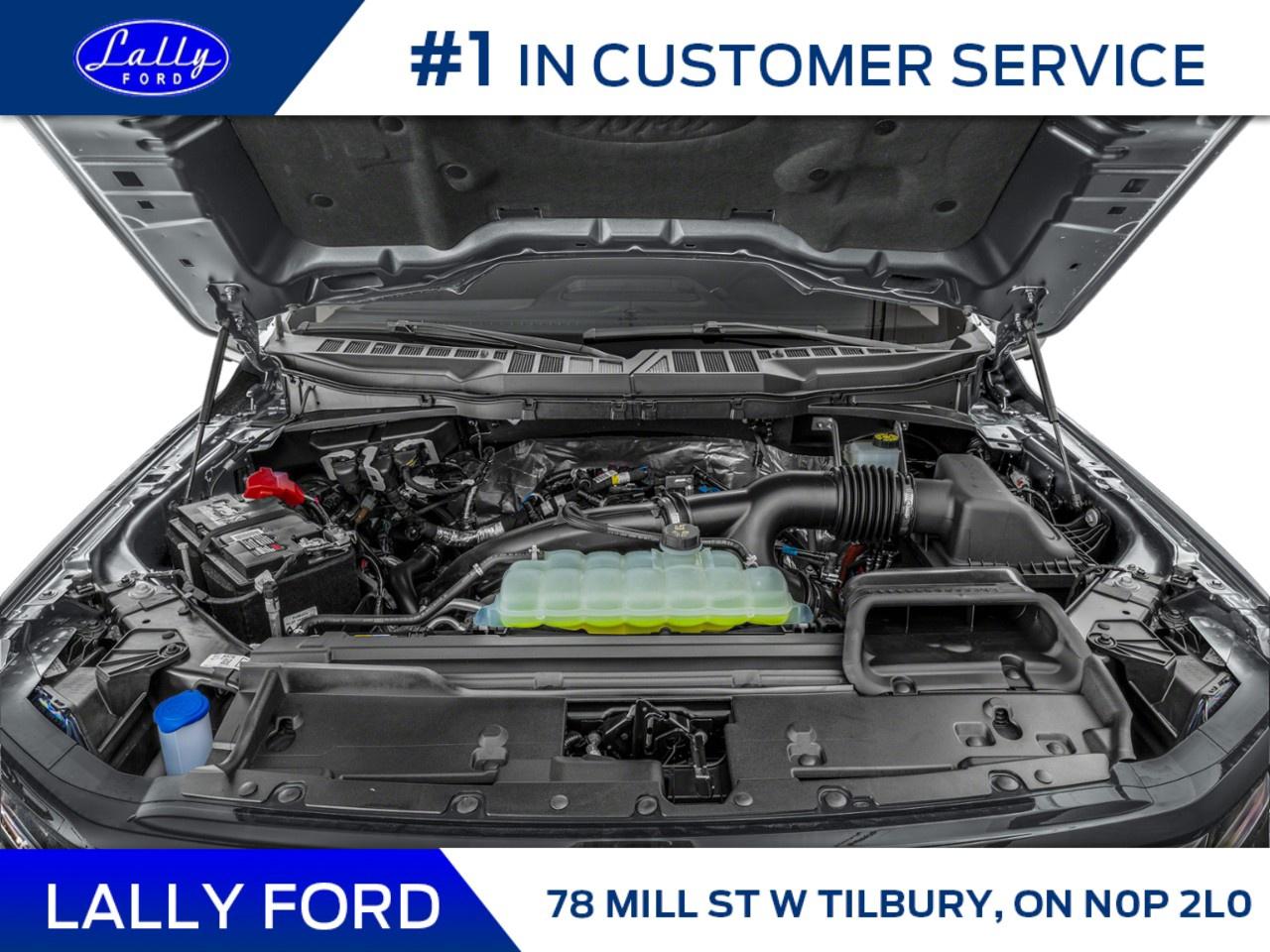 2025 Ford F-150 XLT 4WD SuperCrew 5.5' Box Photo