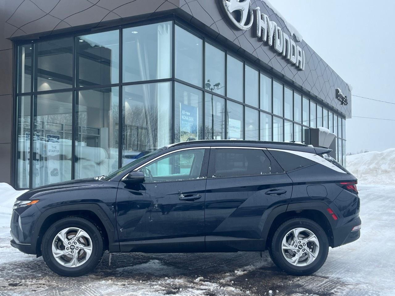 2023 Hyundai Tucson Preferred AWD Photo