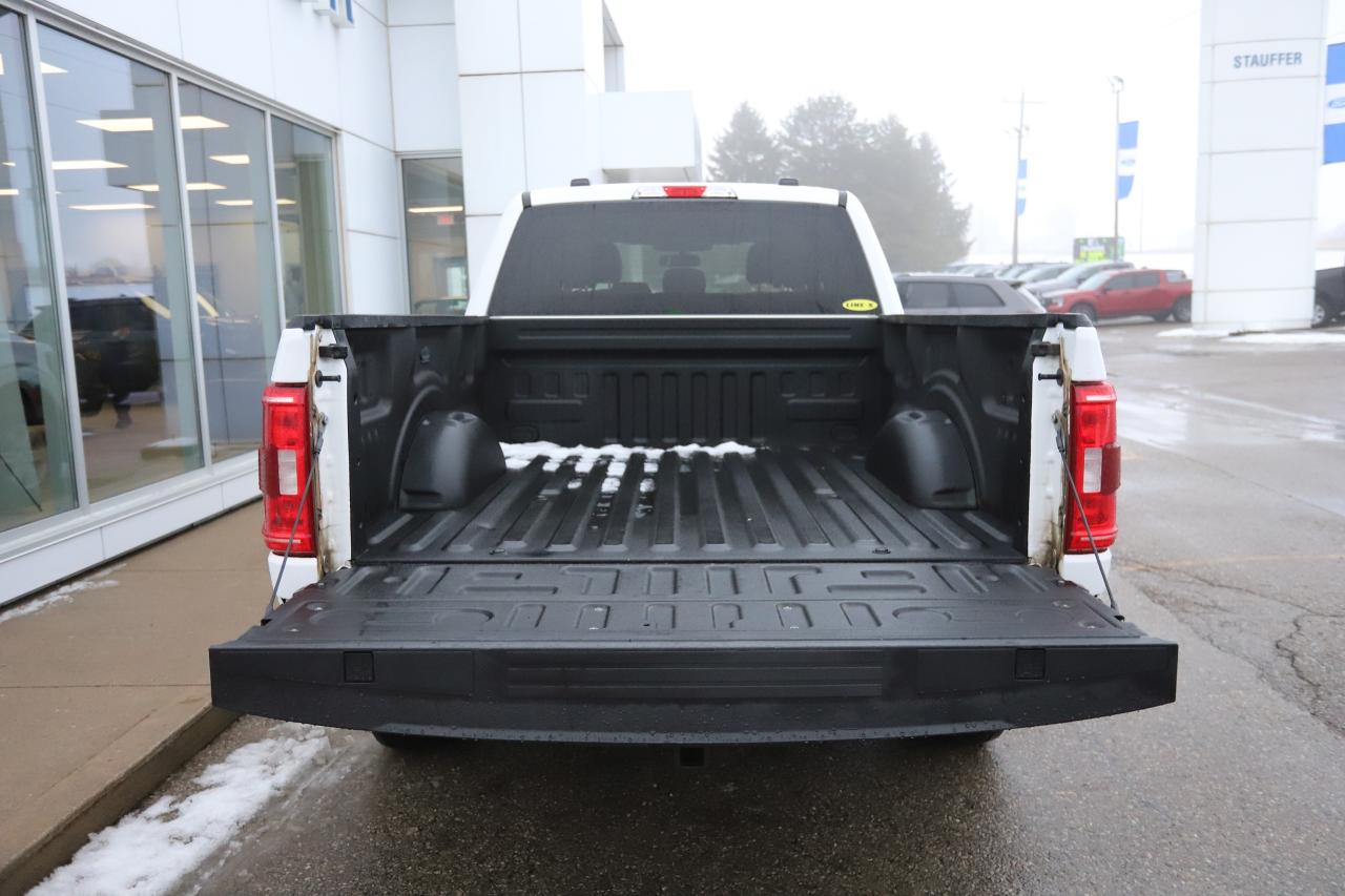 2023 Ford F-150 XLT 4WD SuperCrew 5.5' Box Photo