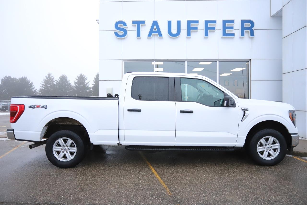 2023 Ford F-150 XLT 4WD SuperCrew 5.5' Box Photo