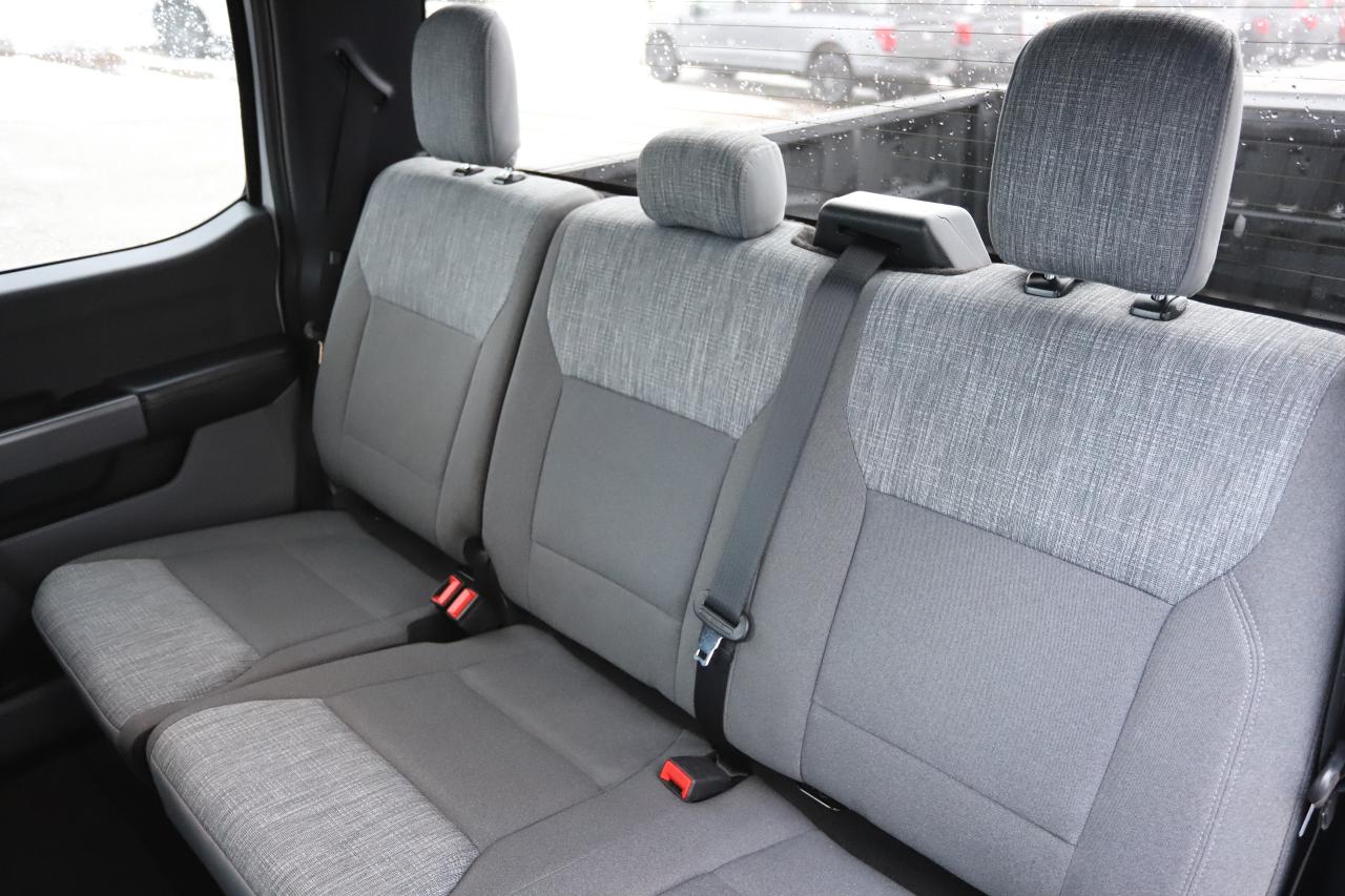 2023 Ford F-150 XLT 4WD SuperCrew 5.5' Box Photo