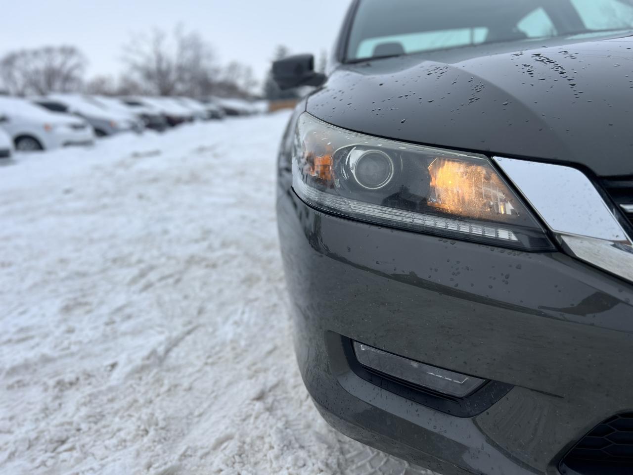 2014 Honda Accord EX-L Photo