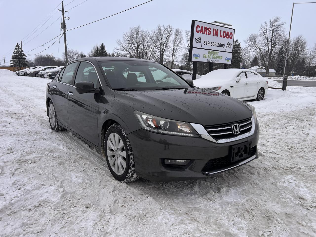 2014 Honda Accord EX-L Photo