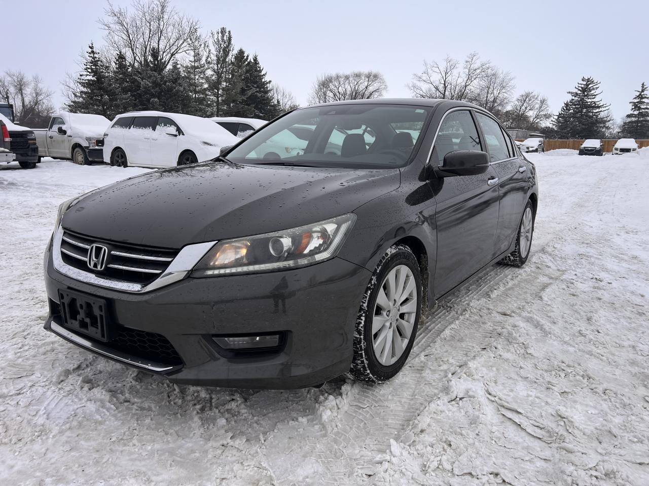 2014 Honda Accord EX-L Photo