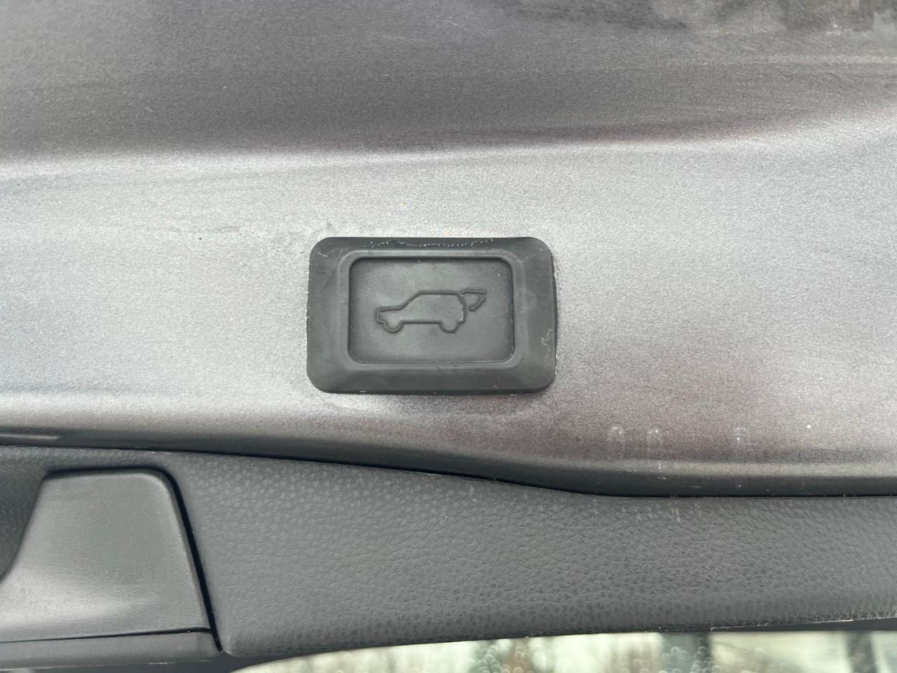 2021 Toyota RAV4 XLE AWD Photo