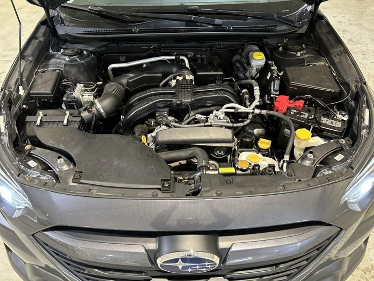 2024 Subaru Outback Convenience AWD Photo