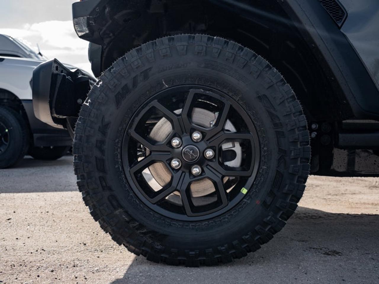 2026 Jeep Wrangler Willys Photo