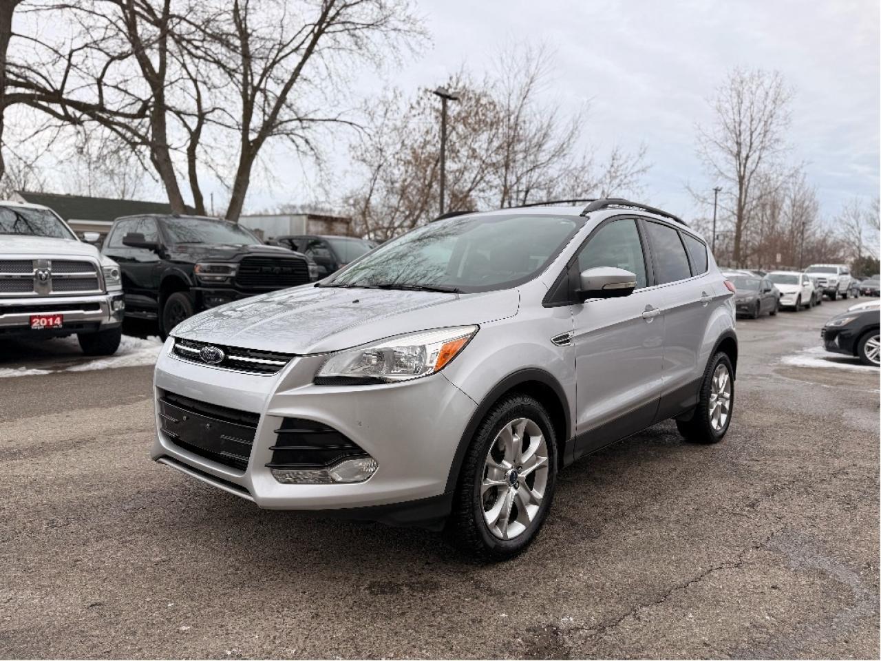 2013 Ford Escape SEL Photo2