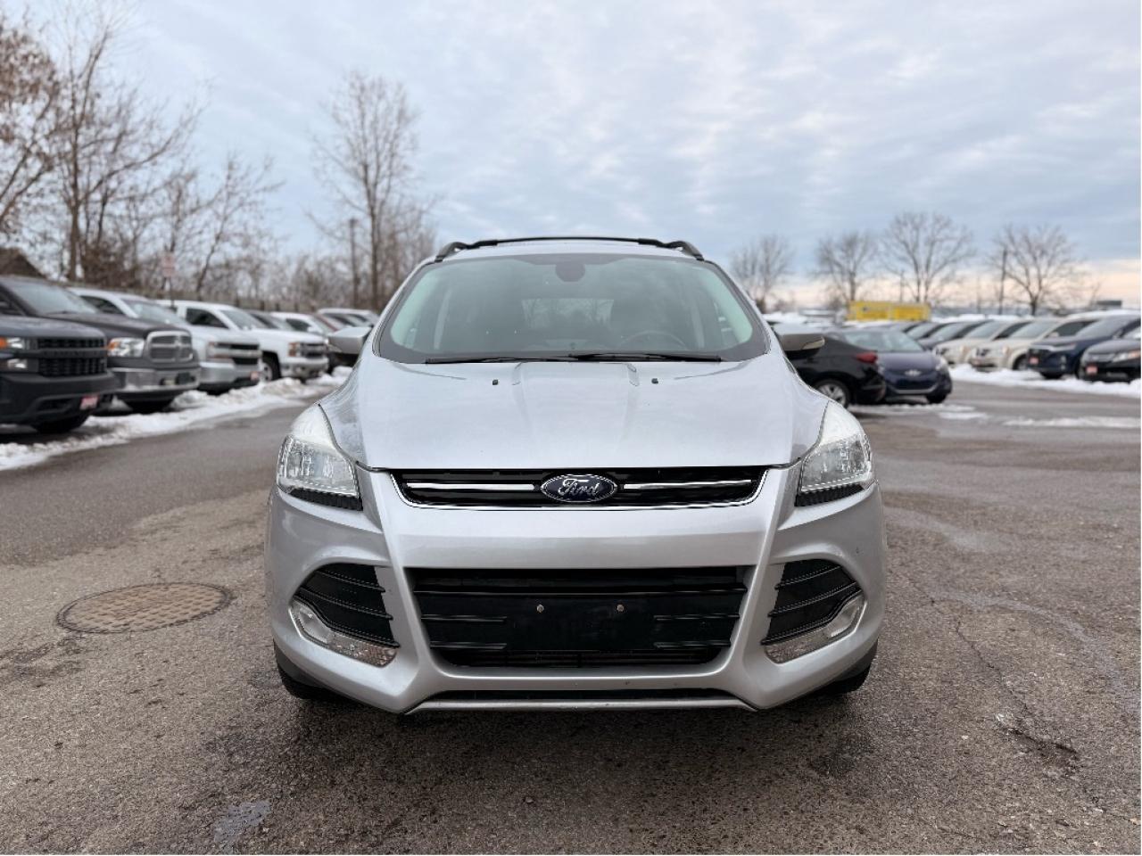 2013 Ford Escape SEL Photo