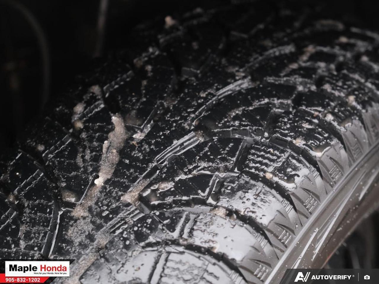 2020 Toyota RAV4  Photo