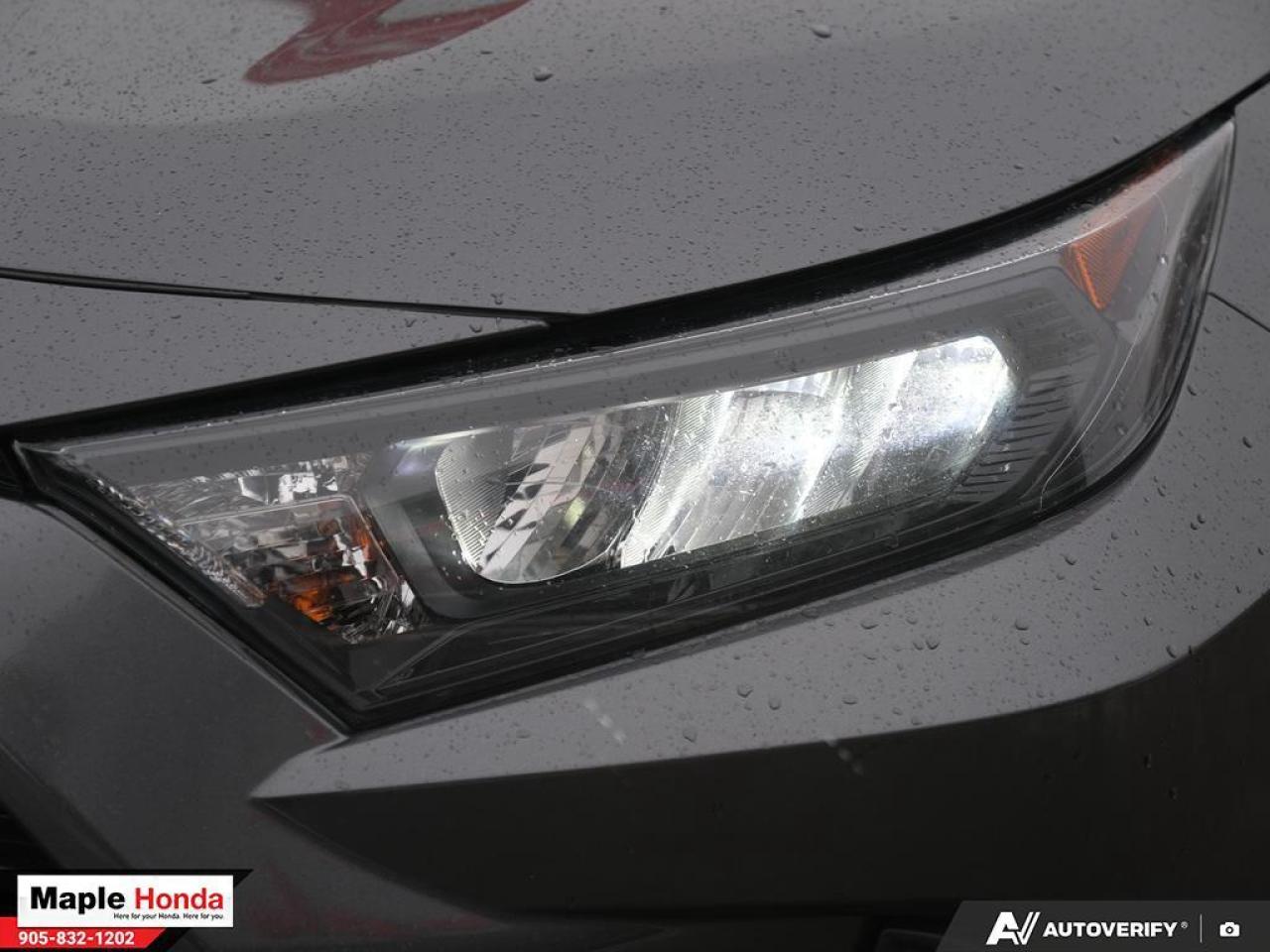 2020 Toyota RAV4  Photo