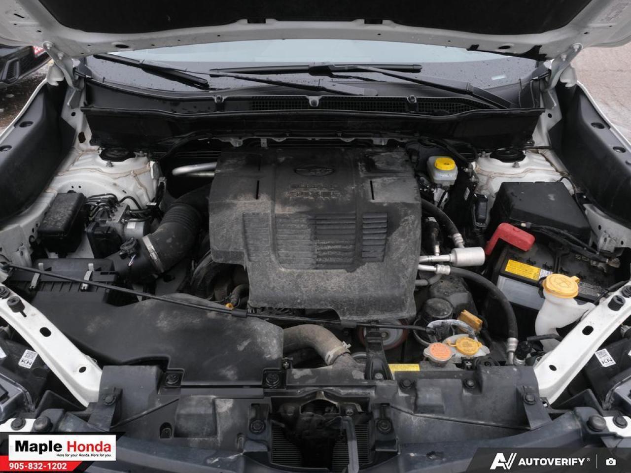 2023 Subaru Forester Sunroof| Leather Seats| Heated Seats| Good Conditi Photo