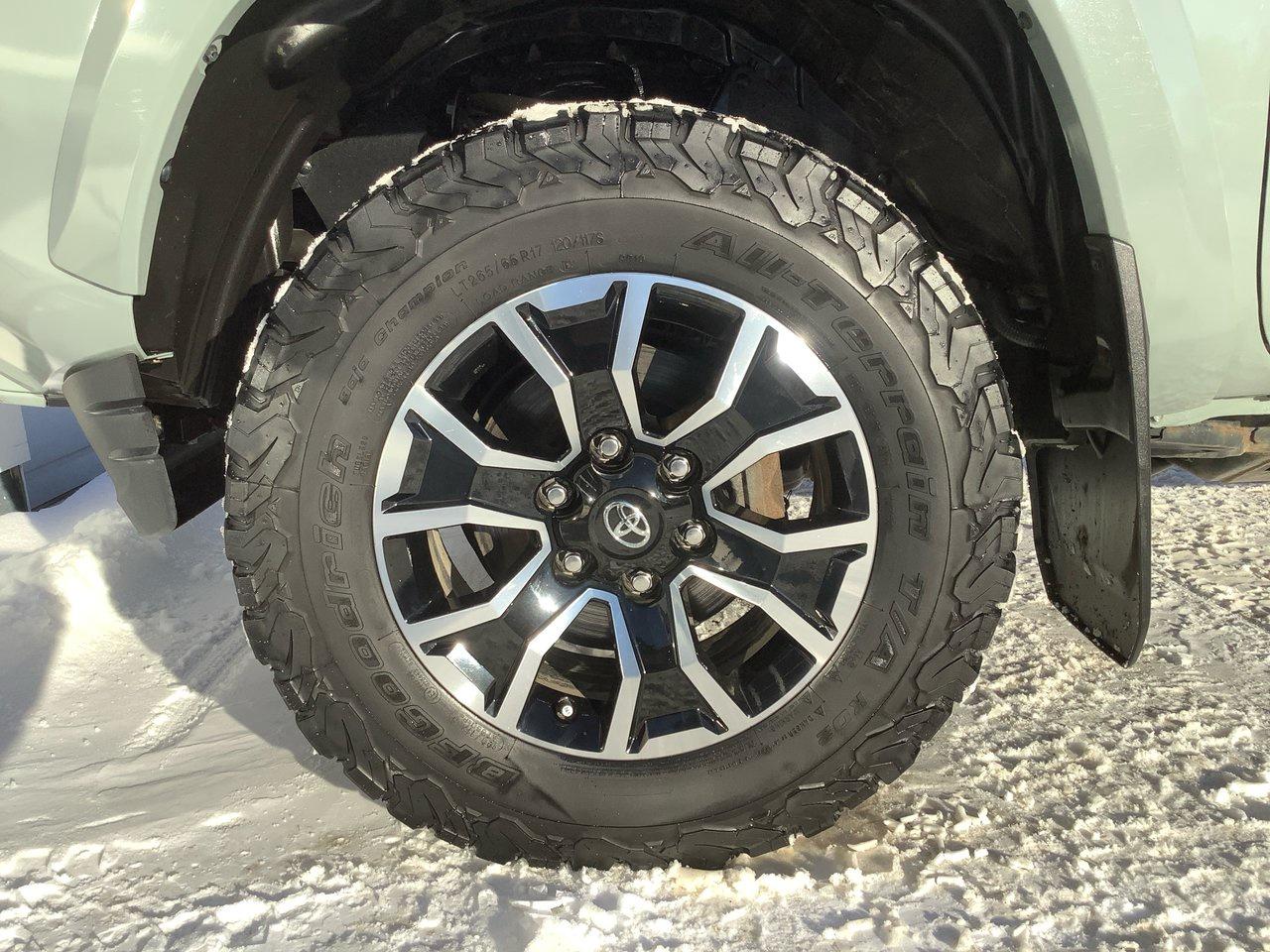 2023 Toyota Tacoma  Photo