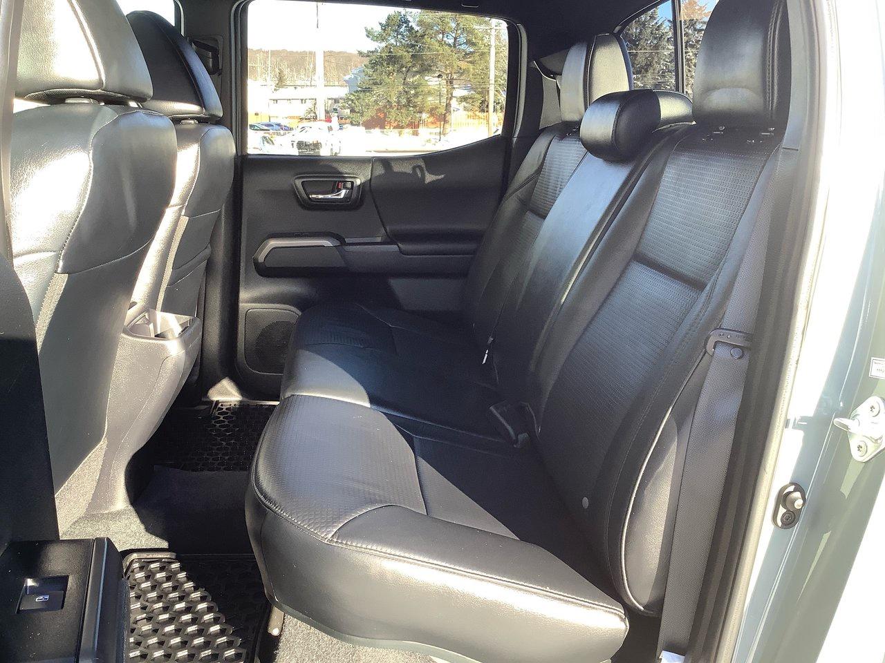 2023 Toyota Tacoma  Photo