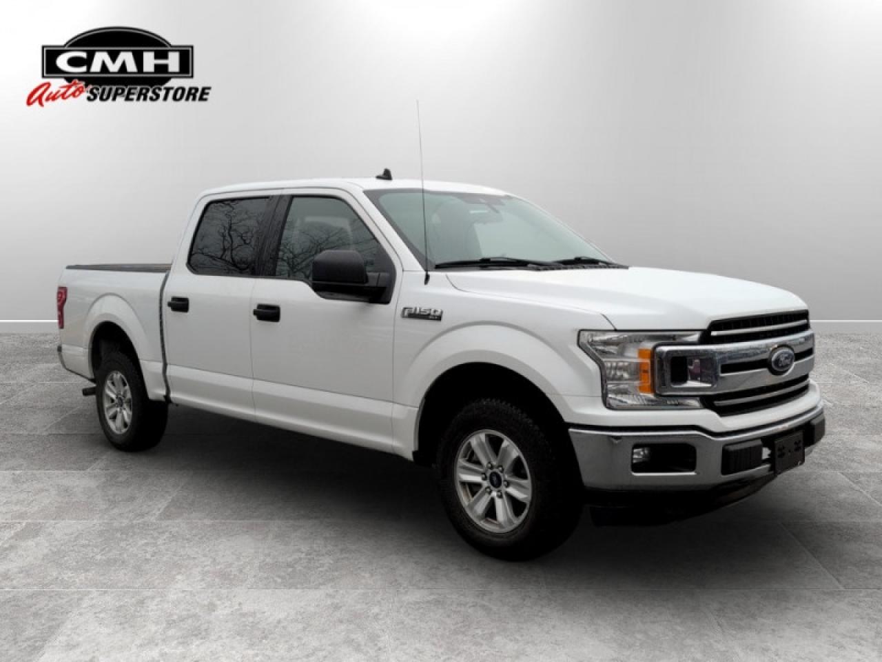 2020 Ford F-150 XLT Photo