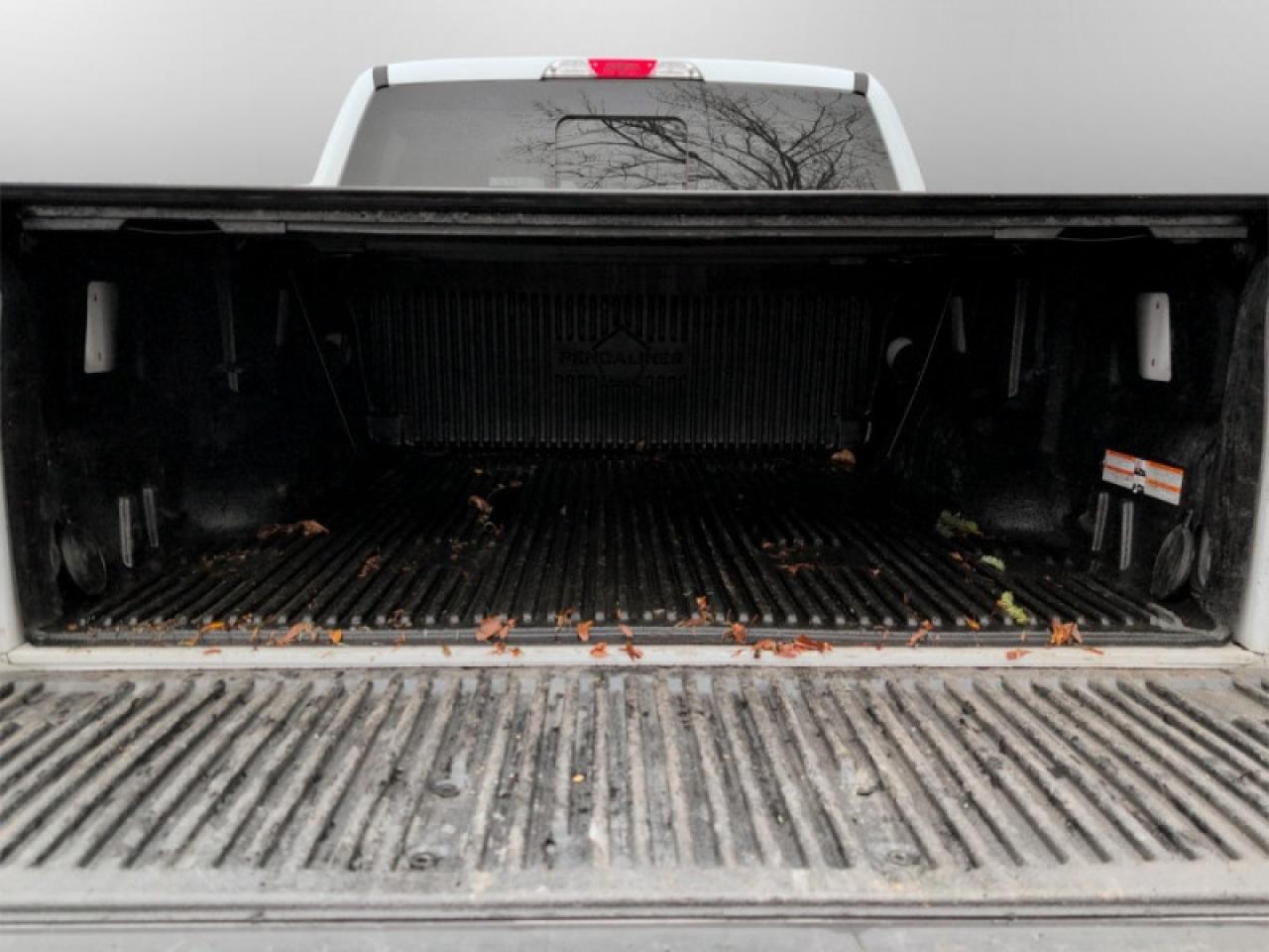 2020 Ford F-150 XLT Photo