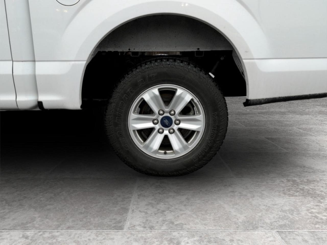 2020 Ford F-150 XLT Photo