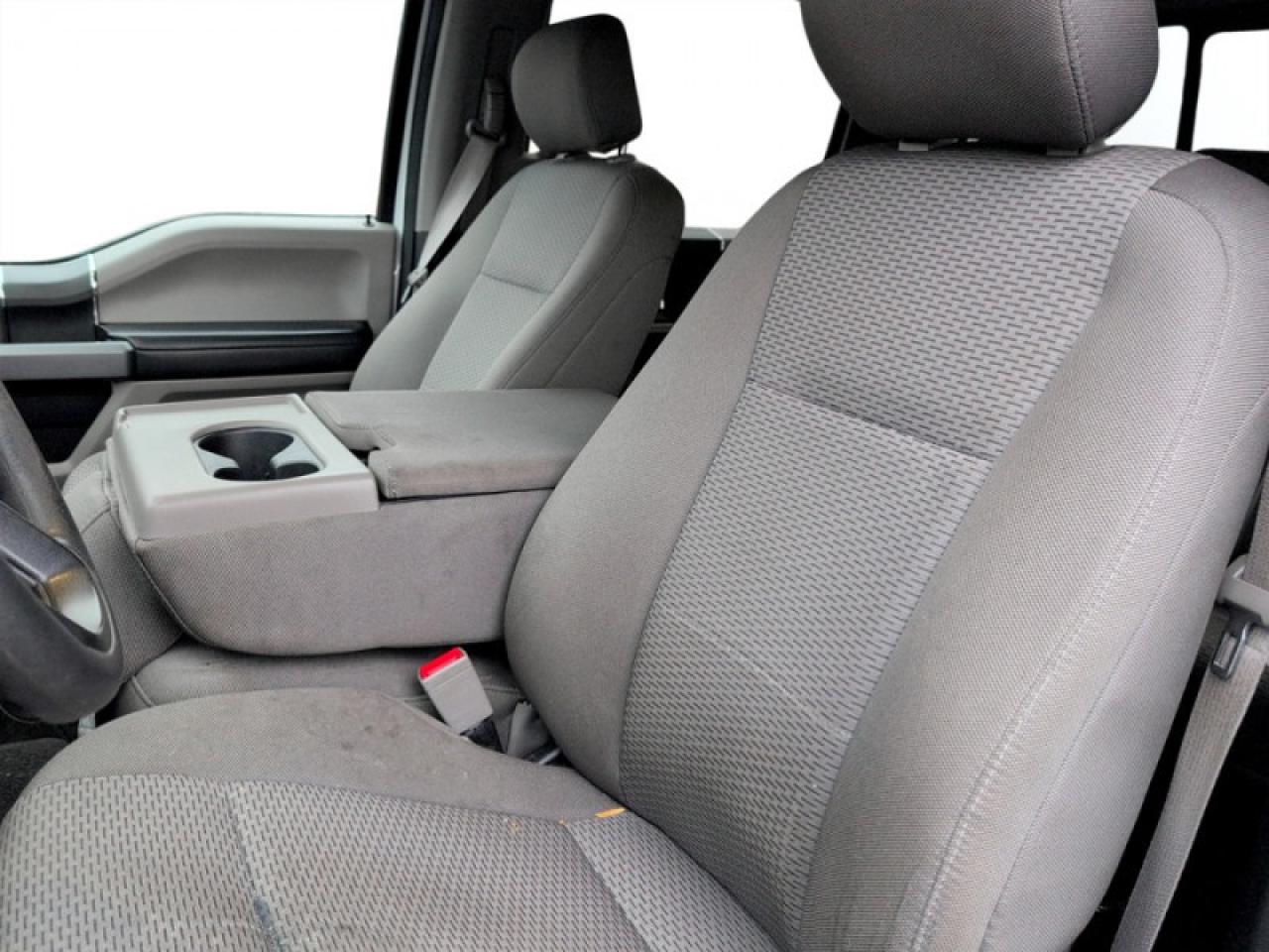 2020 Ford F-150 XLT Photo