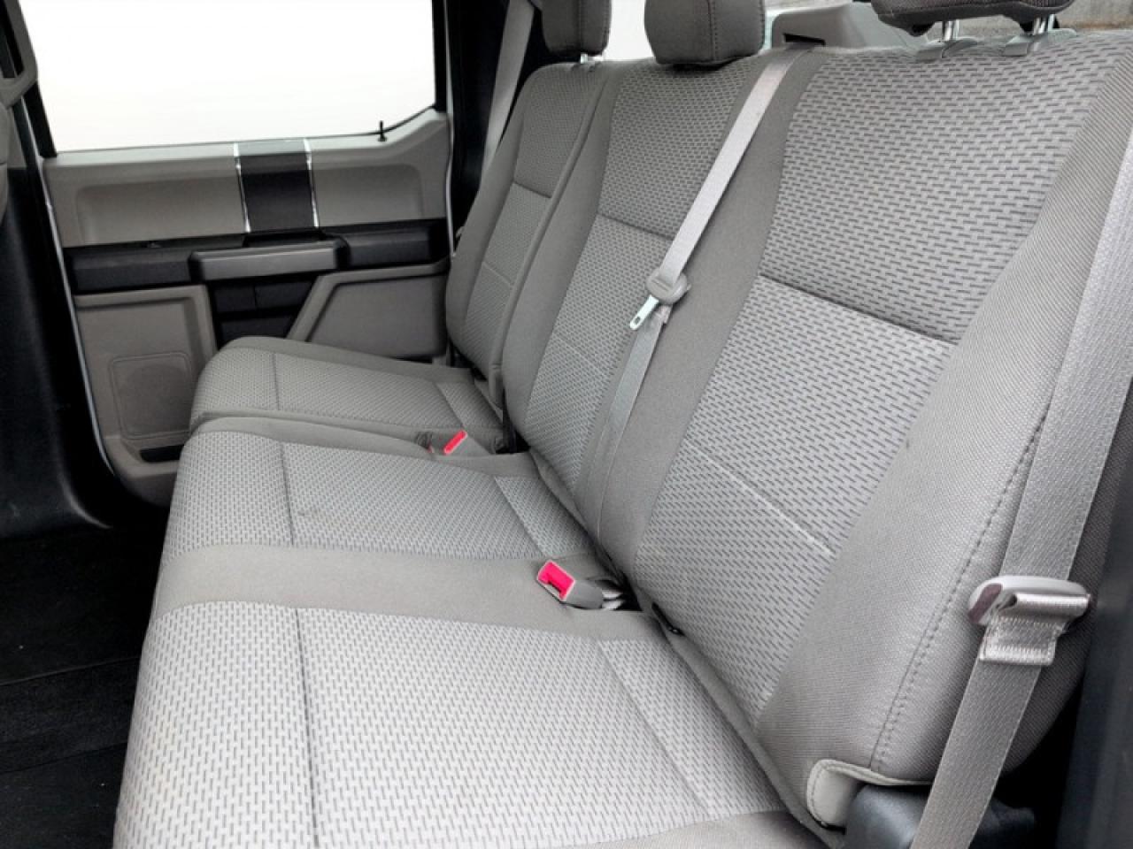 2020 Ford F-150 XLT Photo