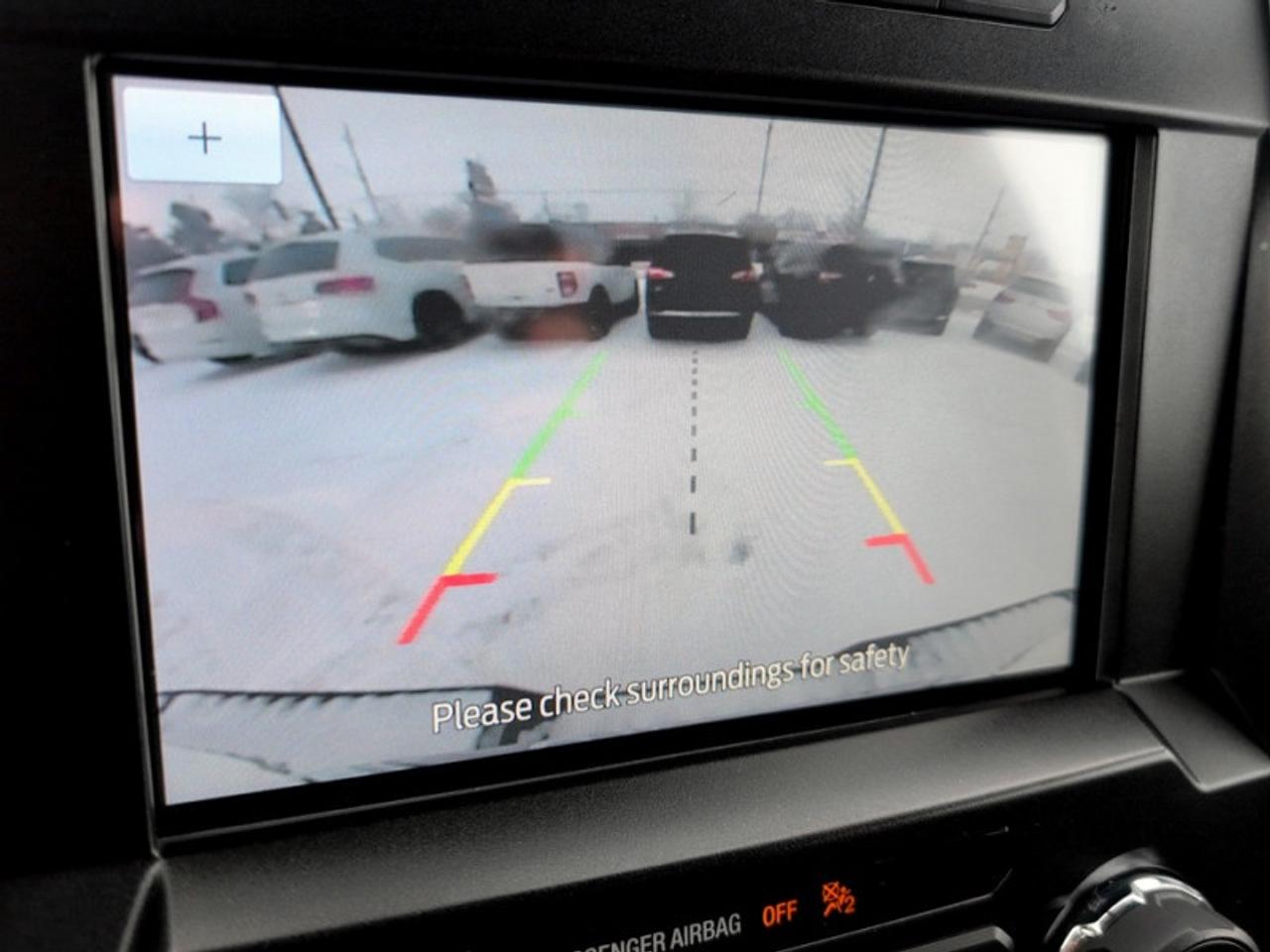 2020 Ford F-150 XLT Photo