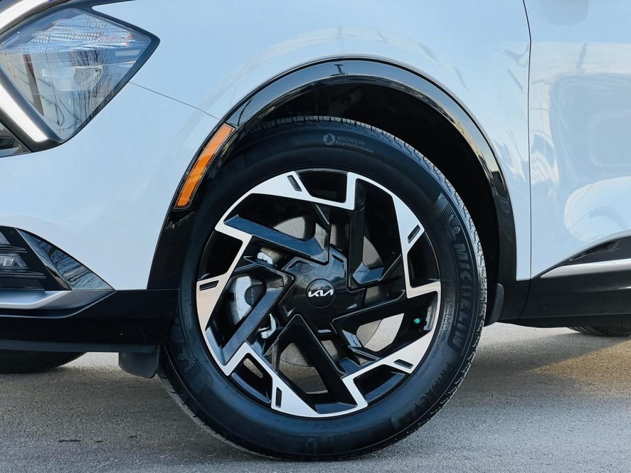 2024 Kia Sportage EX Premium Photo4