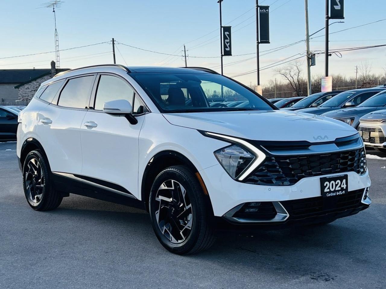 2024 Kia Sportage EX Premium Photo