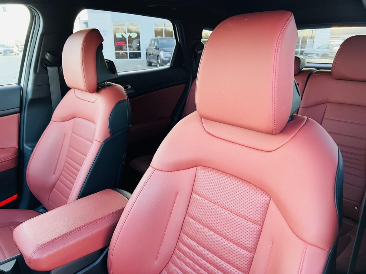 2024 Kia Sportage EX Premium Photo