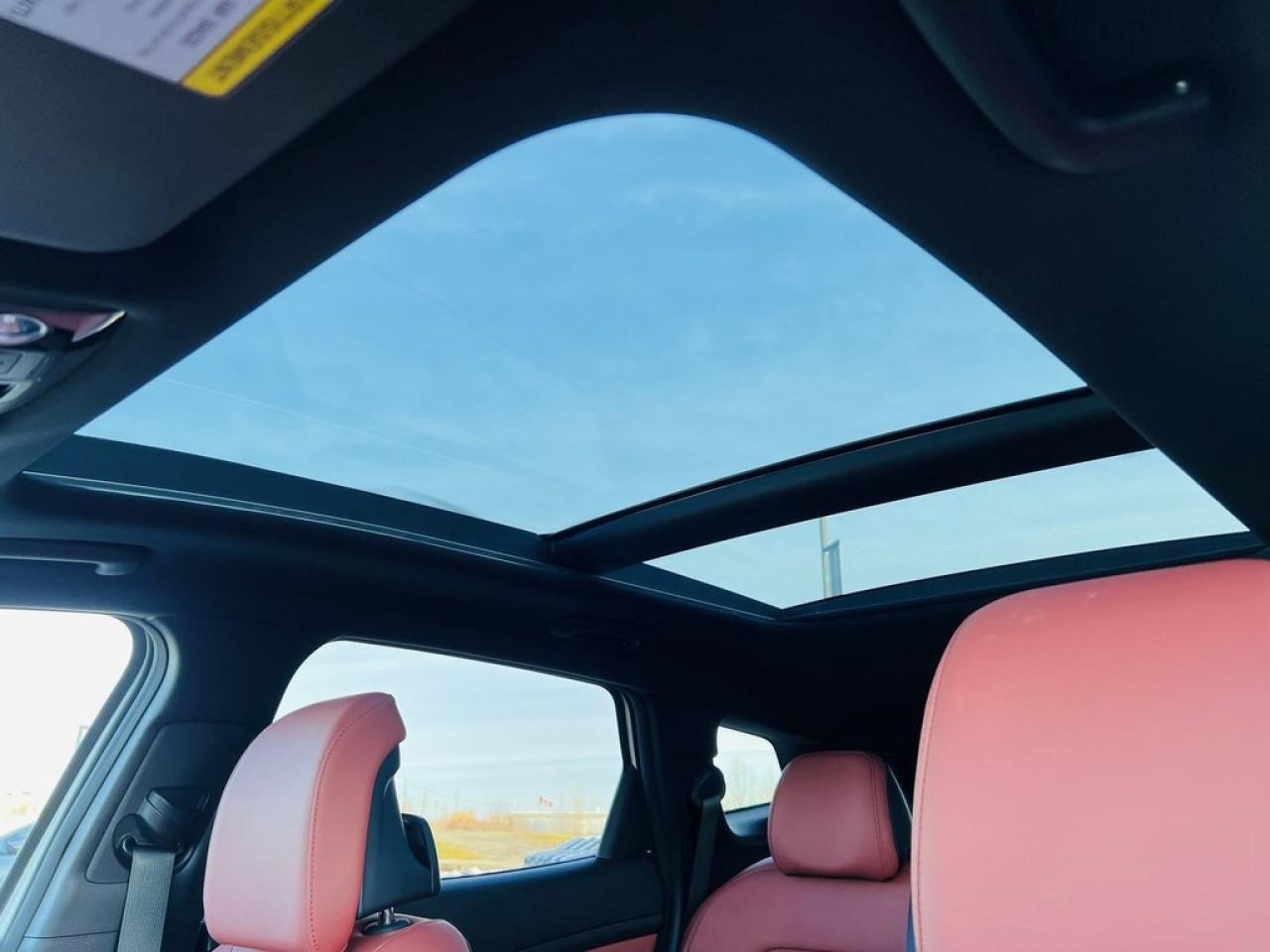 2024 Kia Sportage EX Premium Photo