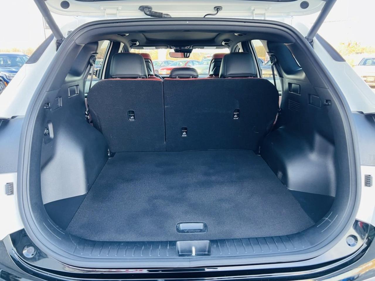 2024 Kia Sportage EX Premium Photo